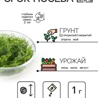 Семена Укроп "Кибрай", 1 г