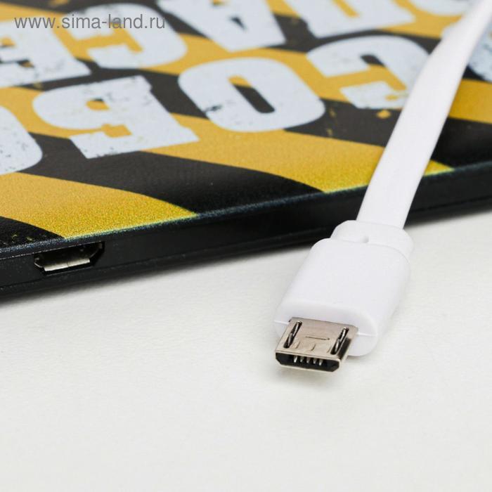 Зарядное устройство &laquo;Особо опасен&raquo;, 2500 mAh, 6 х 9,5 см