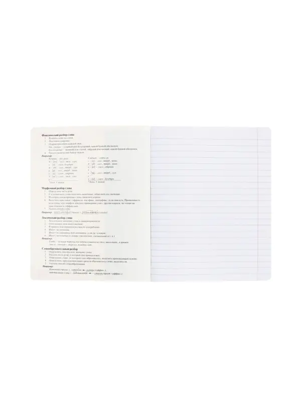 Тетрадь 48 листов в линию &laquo;Буквица&raquo; Русский язык, белые листы