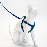 Комплект  "Большая лапа", ширина 1 см, поводок  120 см, шлейка 25-36 см, сине-зелёный