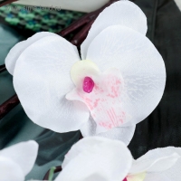 Цветы искусственные "Орхидея фаленопсис" 8х80 см, белый Цветы искусственные "Орхидея фаленопсис" 8х80 см, белый