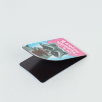 Закладки магнитные для книг, 4 шт &laquo;Читаем вместе с енотом&raquo;