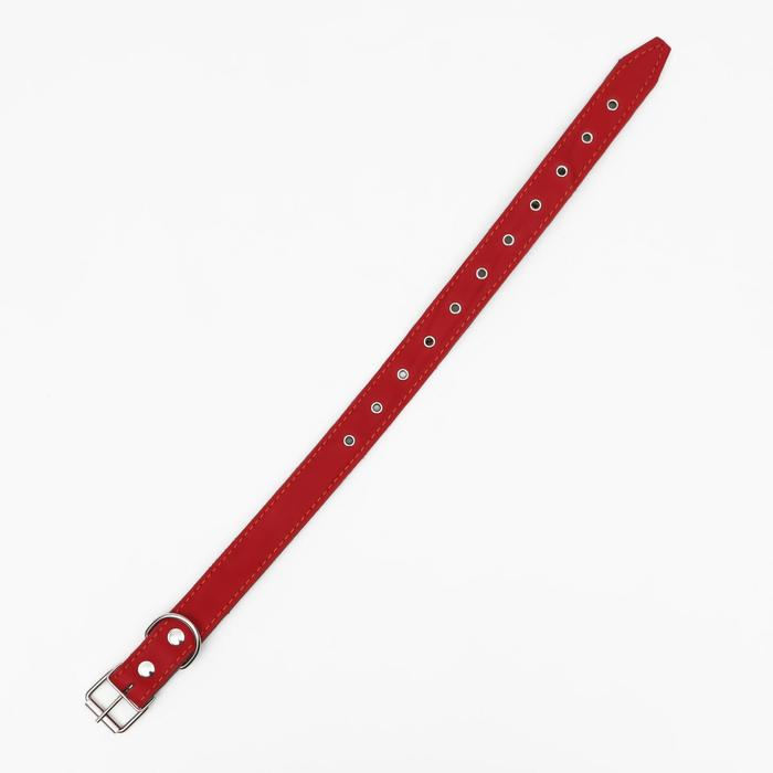 Ошейник комбинированный кожа/брезент, безразмерный, 70 х 3,5 см, ОШ 25-60 см, красный Ошейник комбинированный кожа/брезент, безразмерный, 70 х 3,5 см, ОШ 25-60 см, красный