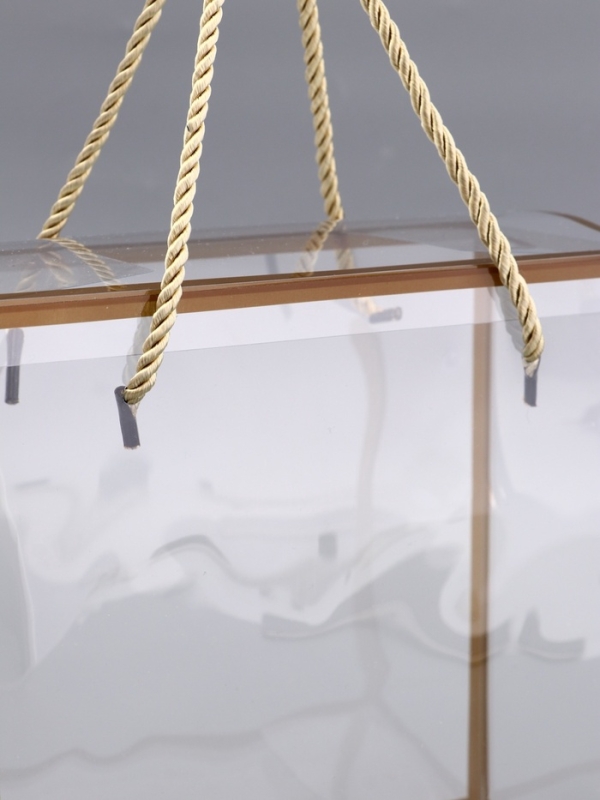 Коробка из PET с ручками, золотая, 20 х 20 х 9 см