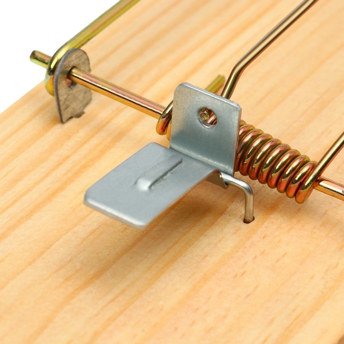 Крысоловка, 17 &times; 8 см, дерево, Greengo