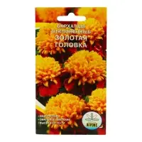 Семена Цветов однолетние Бархатцы "Золотая головка", отклонённые, махровые, 0,2 г
