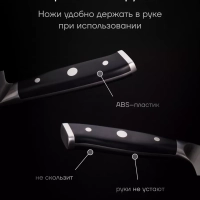 Набор кухонных ножей с подставкой и точилкой Сook Master 5SS