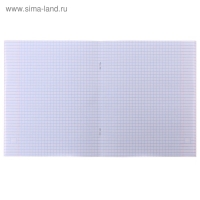 Тетрадь 48 листов в клетку Calligrata "Неон", обложка мелованный картон, УФ-лак, блок офсет, МИКС