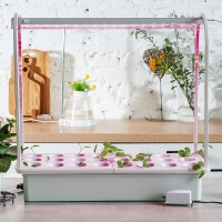 Фитосветильник светодиодный Uniel, 10 Вт, 572 мм, IP20, 220 В, полноспектральный, с выкл. Фитосветильник светодиодный Uniel, 10 Вт, 572 мм, IP20, 220 В, полноспектральный, с выкл.