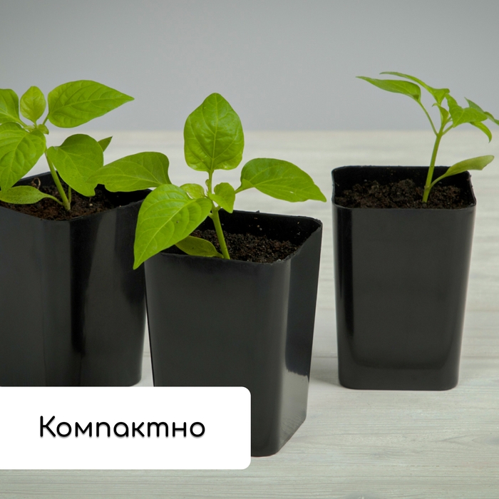 Набор для рассады: стаканы по 300 мл (12 шт.), поддон 43 &times; 18 см, МИКС, Greengo