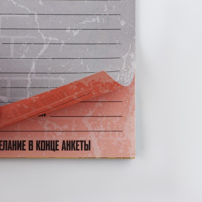 Подарочный набор анкета  для мальчиков и ручка &laquo;23 февраля&raquo;