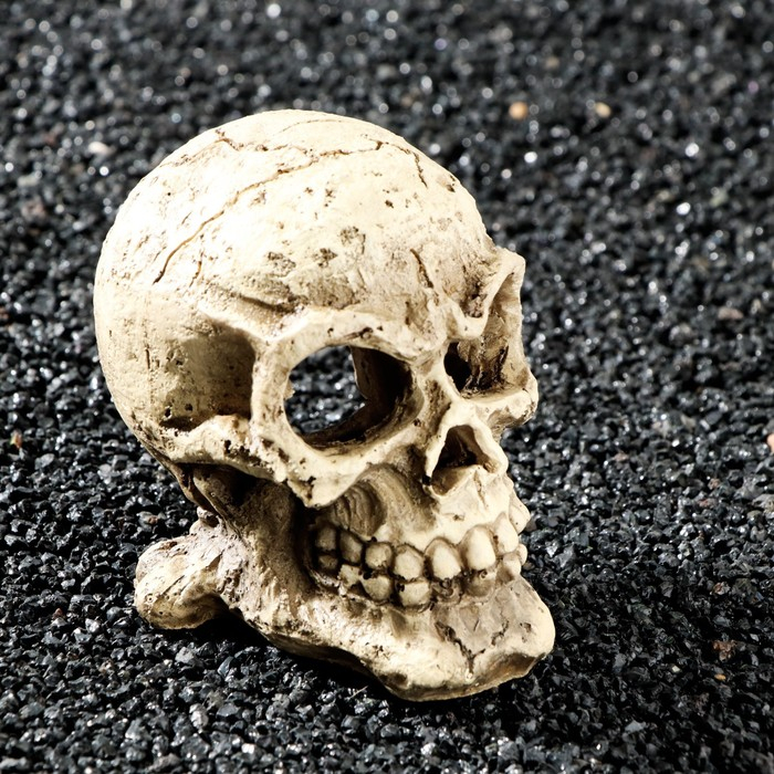 Декор для аквариума Декор для аквариума "Череп", 10 х 8 х 9 см