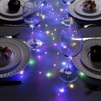 Гирлянда &laquo;Мишура&raquo; 2 м роса, IP20, серебристая нить, 50 LED, батарейки CR2032х2 (в комплекте), свечение мульти