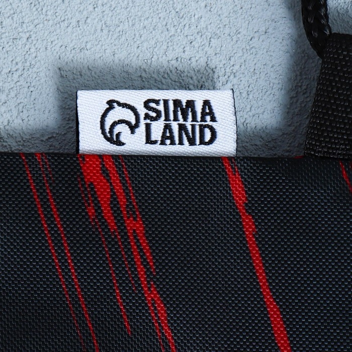 Мешок для обуви &laquo;Кеды&raquo; 2 секции, 30 х 40 см