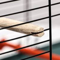 Клетка пролётная 2 яруса, 100 х 37 х 37 см, микс цветов Клетка пролётная 2 яруса, 100 х 37 х 37 см, микс цветов