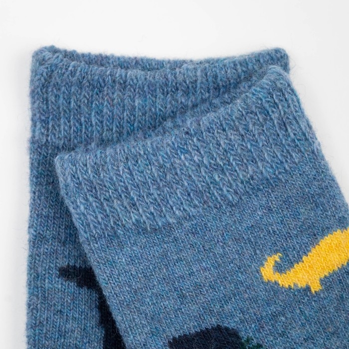 Носки детские шерстяные &laquo;Динозаврики&raquo;, цвет МИКС, размер 16 (3-5 лет)