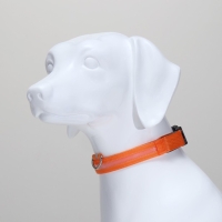 Ошейник с подсветкой размер L, ОШ 45-52 х 2,5 см, 3 режима свечения оранжевый Ошейник с подсветкой размер L, ОШ 45-52 х 2,5 см, 3 режима свечения оранжевый