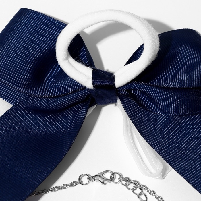 Набор «Выбражулька» 4 предмета: резинка, 2 кольца, кулон, цвет бело-синий в серебре Набор «Выбражулька» 4 предмета: резинка, 2 кольца, кулон, цвет бело-синий в серебре