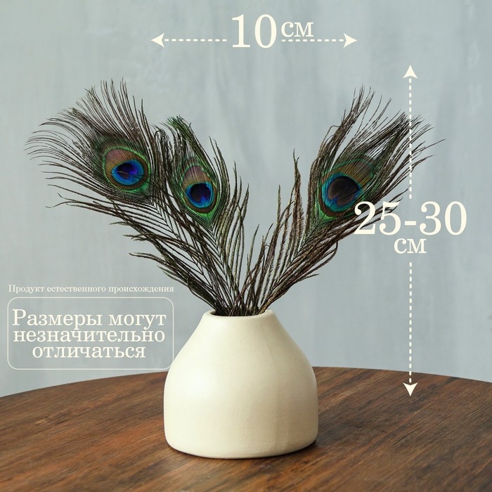 Перо павлина для декора, набор 3 шт., размер 1 шт. — от 25 до 30 см Перо павлина для декора, набор 3 шт., размер 1 шт. — от 25 до 30 см