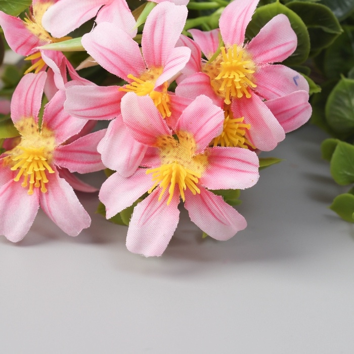 Букет Букет "Сальпиглоссис" 32 см, микс