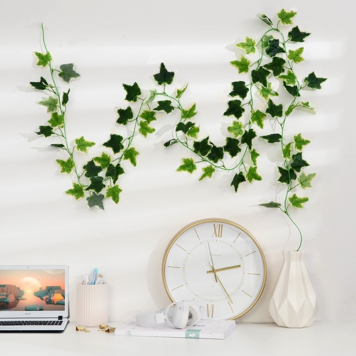 Лиана Лиана "Хедера хеликс" 220 см