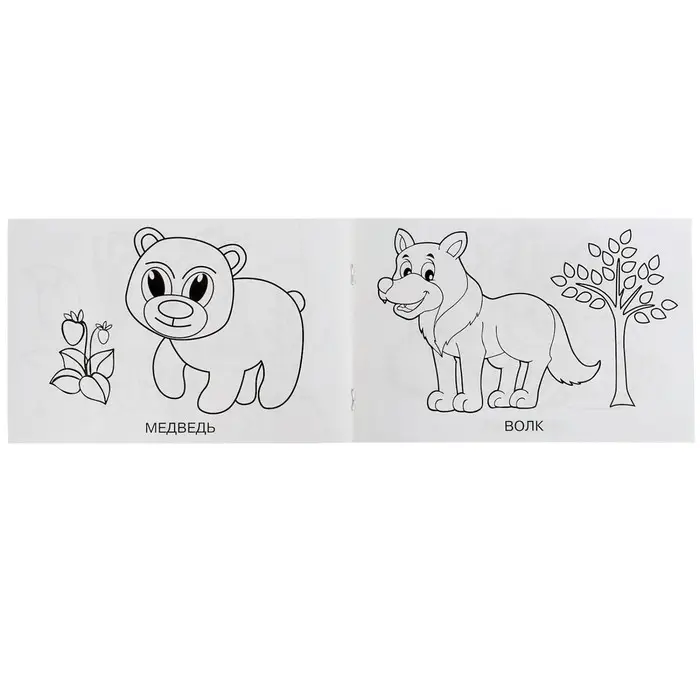 Раскраска &laquo;Лесные животные&raquo;, 8 страниц