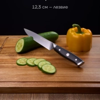 Набор кухонных ножей с подставкой и точилкой Сook Master 5SS