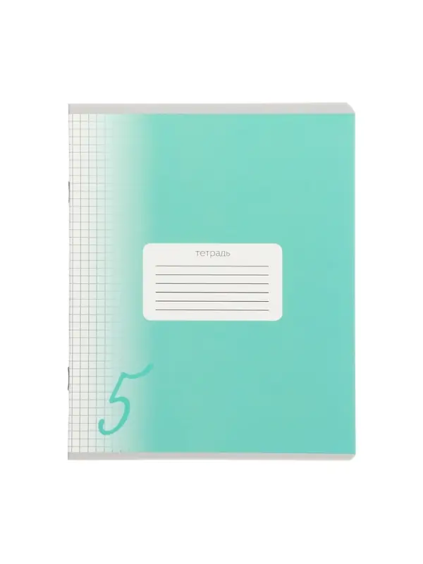 Комплект тетрадей из 10 штук, 24 листа в клетку Calligrata "Пятёрка", обложка мелованный картон, ВД-лак, блок офсет, 5 видов по 2 штуки