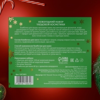 Новогодний подарочный набор косметики «Зимняя сказка», с ароматом розы и корицы. Зеленая серия Новогодний подарочный набор косметики «Зимняя сказка», с ароматом розы и корицы. Зеленая серия