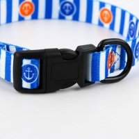 Ошейник «Для большого путешествия», застёжка - фастекс, 2 см 25-40 см Ошейник «Для большого путешествия», застёжка - фастекс, 2 см 25-40 см