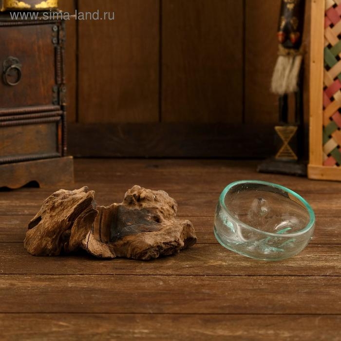 Вазон стекло на коряге "Блюдо" 15х15х8 см