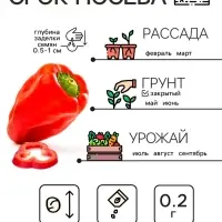 Семена Перец сладкий "Калифорнийское чудо", 0,2 г