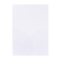 Бумага для пастели А4, 10 листов "Щенки", блок 160 г/м2, в папке