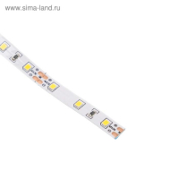 Светодиодная лента Ecola PRO 5 м, IP20, SMD5060, 60 LED/м, 11 Вт/м, 12 В, 2800К