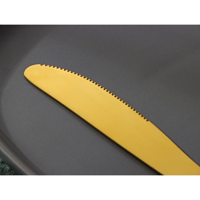 Ножи столовые из нержавеющей стали Доляна &laquo;Голд&raquo;, длина 22 см, 6 шт, цвет золотой