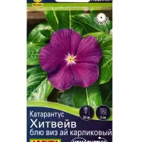 Семена цветов Катарантус Хитвейв блю виз ай карликовый  Спецсерия Hem Genetics, Ц/П,5 шт.