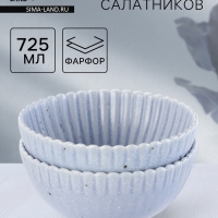 Салатники Доляна «Коралл», d=16.1 см, набор 2 шт., керамика, голубые Салатники Доляна «Коралл», d=16.1 см, набор 2 шт., керамика, голубые