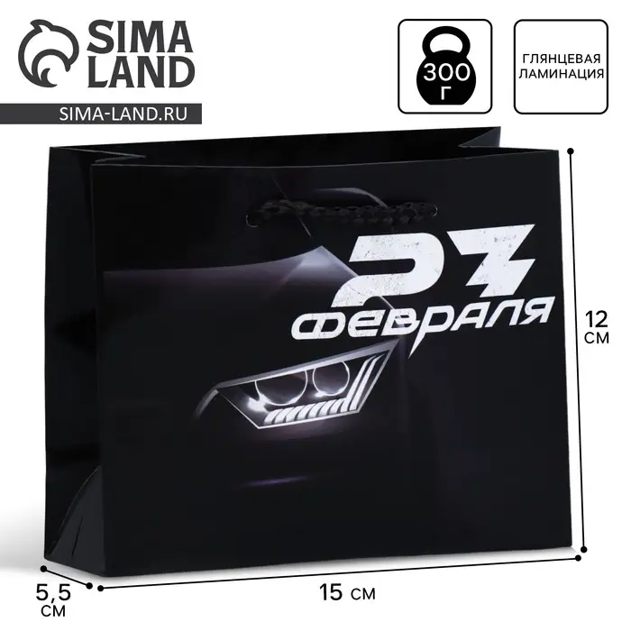 Пакет подарочный ламинированный, упаковка, &laquo;С 23 февраля&raquo;, S 12 х 15 х 5.5 см