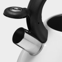 Чайник со свистком из нержавеющей стали Доляна Magic forest, 3 л, с индикатором нагрева, индукция Чайник со свистком из нержавеющей стали Доляна Magic forest, 3 л, с индикатором нагрева, индукция