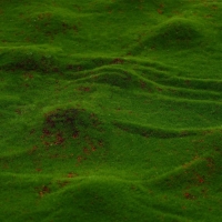 Мох искусственный, декоративный, полотно 1 &times; 1 м, рельефный, камни, Greengo