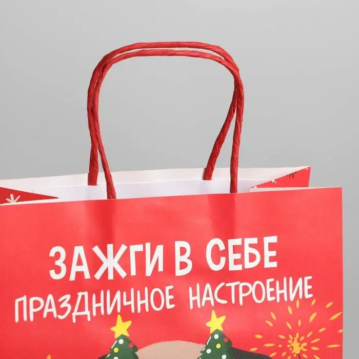 Пакет подарочный новогодний &laquo;Зажги в себе&raquo;, 22 х 22 х 11 см