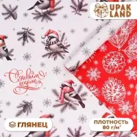 Бумага упаковочная &laquo;Снегири&raquo;, глянец, двусторонняя, 80 г/м&sup2; , 70&times;100 см