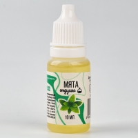 Ароматизатор для творчества «Мята», концентрированный, 10 мл Ароматизатор для творчества «Мята», концентрированный, 10 мл