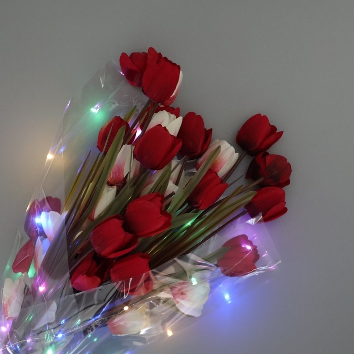 Плёнка упаковочная с гирляндой &laquo;Разноцветная&raquo;, 60 х 60 см