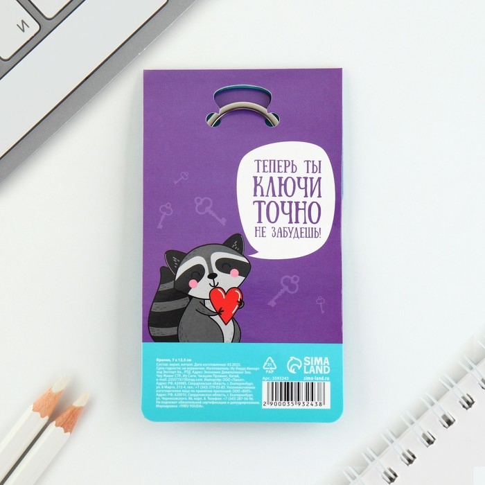 Брелок для ключей акриловый &laquo;Енот&raquo;, 3,5 х 10 см