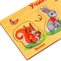 Рамка - вкладыш &laquo;Учим лесных животных&raquo;, 5 элементов