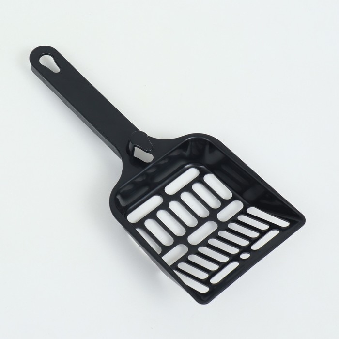 Туалет с бортом, 50х35х18 см, синий