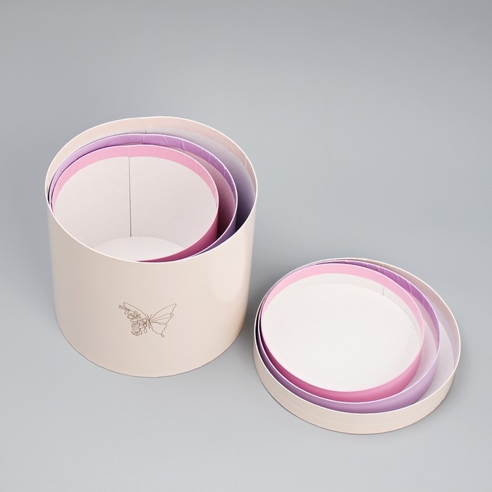 Набор шляпных коробок 3 в 1, упаковка подарочная, «Цветы», 16 х 16 х 14‒20 х 20 х 17 см Набор шляпных коробок 3 в 1, упаковка подарочная, «Цветы», 16 х 16 х 14‒20 х 20 х 17 см