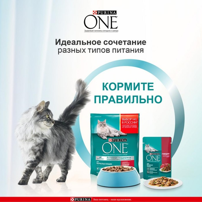 Сухой корм ONE для кошек, говядина с цельными злаками, 750 г Сухой корм ONE для кошек, говядина с цельными злаками, 750 г