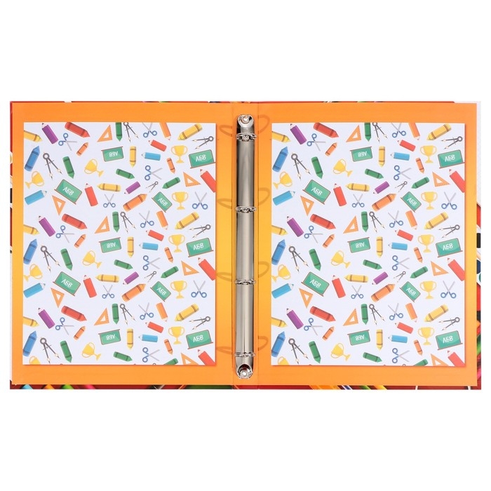 Папка школьная на кольцах &laquo;Портфолио ученика начальной школы&raquo;, без разделителей, 24,5 х 32 см.